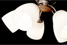 PANASONIC �ѥʥ��˥å��Ź� �����ǥꥢ HEM5070CE ����ץ� ����� panasonic hem5070ce