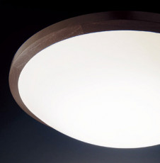 PANASONIC �ѥʥ��˥å��Ź� ������󥰥饤�� HJA9010 ����ץ� ����� panasonic hja9010