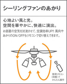 PANASONIC ѥʥ˥åŹ 󥰥ե SPL5534 ʥ ȥ꡼ panasonic spl5534