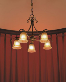 �ޥå����쥤 MAXRAY �֥饱�å� MB50004-21