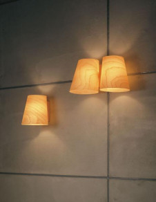 �ޥå����쥤 MAXRAY �֥饱�å� MB50050-03