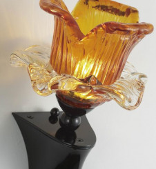 �ޥå����쥤 MAXRAY �֥饱�å� MB50260-02