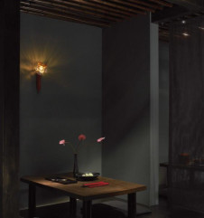 �ޥå����쥤 MAXRAY �֥饱�å� MB50260-05