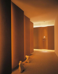 �ޥå����쥤 MAXRAY �֥饱�å� MB5497-01