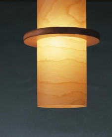 �ޥå����쥤 MAXRAY �ڥ����� MP40045-03