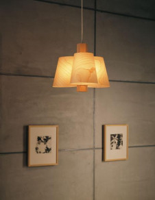 ޥå쥤 MAXRAY ڥ MP40046-03