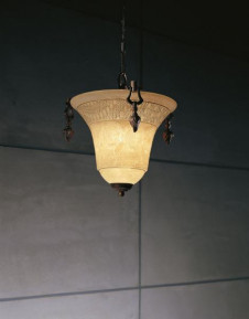 �ޥå����쥤 MAXRAY �ڥ����� MP40048-42