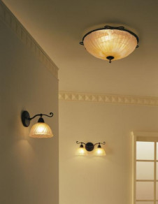 �ޥå����쥤 MAXRAY �ڥ����� MP40084-21