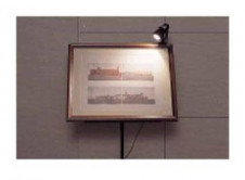 �ޥå����쥤 MAXRAY ����åץ饤�� MS1238-02