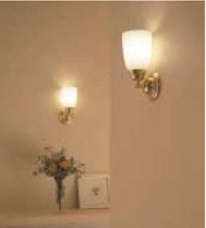 �ޥå����쥤 MAXRAY ���ݥå� MS1240-38