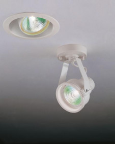 �ޥå����쥤 MAXRAY ���ݥå� MS1579-02