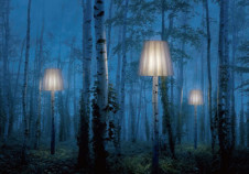 DWP-54218 ���Ķ���(GLAMAROUS co.��ltd.)