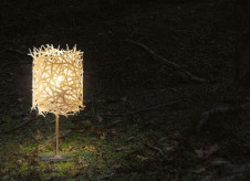 �ޥå����쥤 MAXRAY ������� MF70090-01