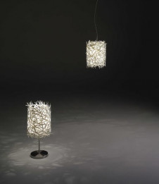 �ޥå����쥤 MAXRAY �ڥ����� MP40330-01