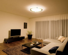 ODELIC �����ǥ�å� ������󥰥饤�� OL001776 odelic ol001776