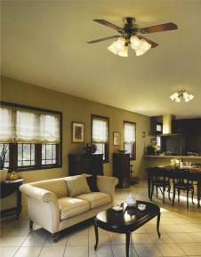 ߾ KOIZUMI LEDŷ AA35172L ܹ̿