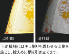 �������߾��� KOIZUMI LED�����ڥ����� AP35754L ��ħ�̿�