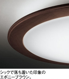 ODELIC �����ǥ�å� LED������� OL251074