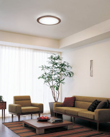 ODELIC �����ǥ�å� LED������� OL251074