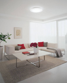 ODELIC �����ǥ�å� LED������� OL251102