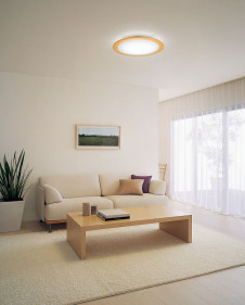 ODELIC �����ǥ�å� LED������� OL251073