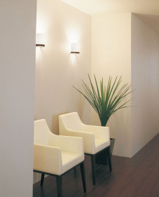 ODELIC ֥饱å OB080607LQ