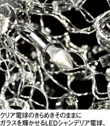 ODELIC LED ǥꥢ OC257005