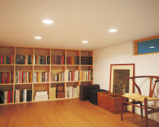 ODELIC LED ������饤�� OD261029L