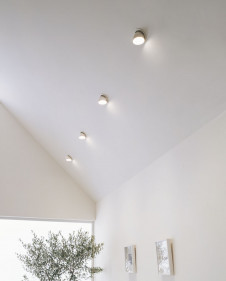 ODELIC LED ������饤�� OD261101