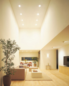 ODELIC LED ������饤�� OD261102