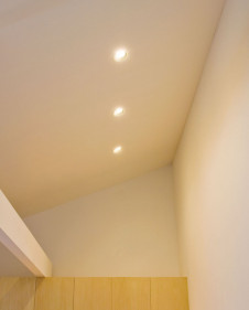 ODELIC LED ������饤�� OD261175