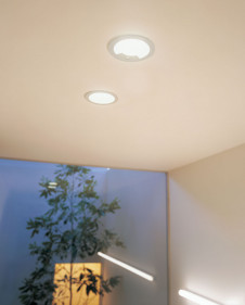 ODELIC LED ������饤�� OD261204