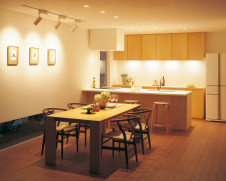 ODELIC LED ������饤�� OD262004