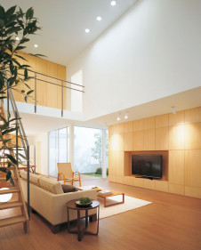 ODELIC LED ������饤�� OD262004