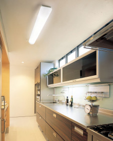 ODELIC �١����饤�� OL001758N