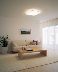 ODELIC ������� OL211586N