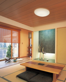 ODELIC ������� OL211896L