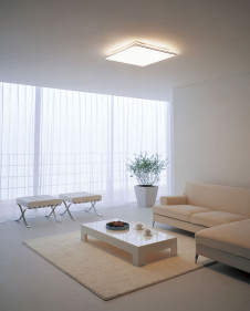 ODELIC ������� OL211898N