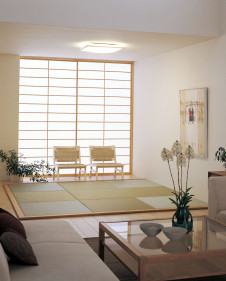 ODELIC ������� OL211900L