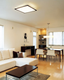 ODELIC ������� OL211900L