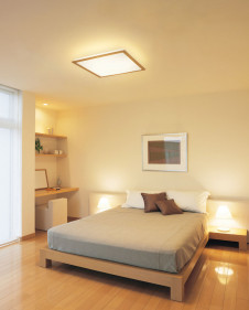 ODELIC ������� OL211904L