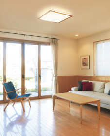 ODELIC ������� OL211906N