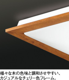 ODELIC ������� OL211909N