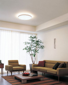 ODELIC ������� OL211916N