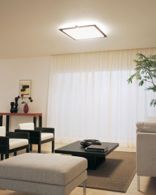 ODELIC ������� OL211926L