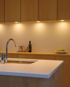 ODELIC LED ������� OL251033L