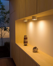 ODELIC LED ������� OL251033L