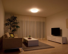 ODELIC LED ������� OL251052