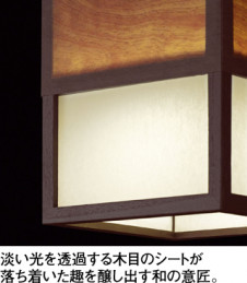 ODELIC LED �ڥ����� OP252027