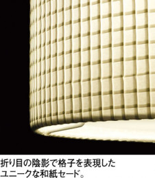 ODELIC LED �ڥ����� OP252068